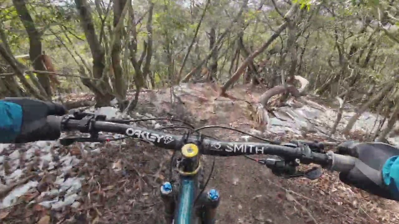 2026 2 1 S Trail