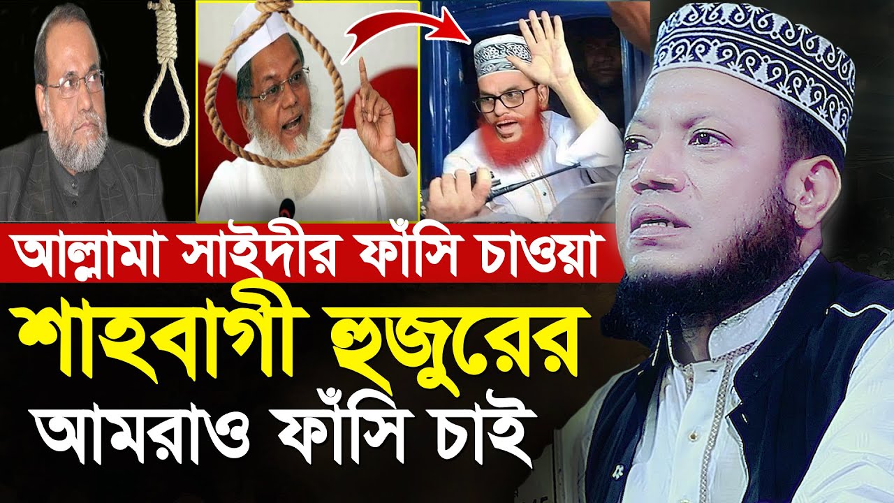 আল্লামা সাইদীর ফাঁসি চাওয়া শাহবাগী হুজুরের ফাঁসি চাই । আমির হামজা নতুন ওয়াজ । mufti amir hamza waz