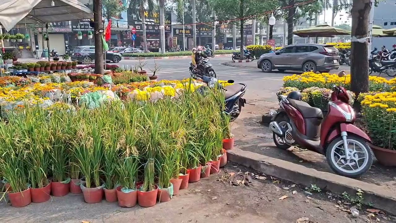 Chợ hoa ngày têt không có người buồn quá mọi ngươi ơi ...