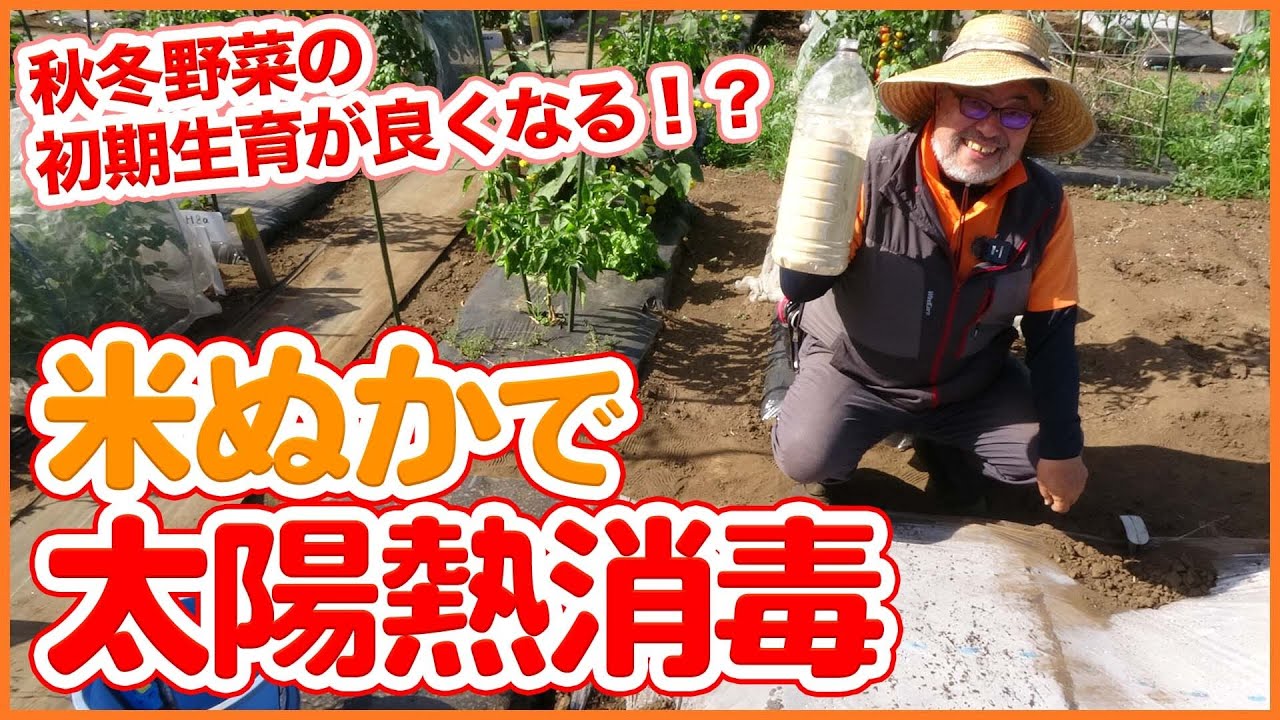 家庭菜園や農園栽培の土作りで米ぬかを使った太陽熱消毒！微生物の活性化、雑草対策や病気予防など徹底解説！/Tips for solar heat disinfection using rice bran