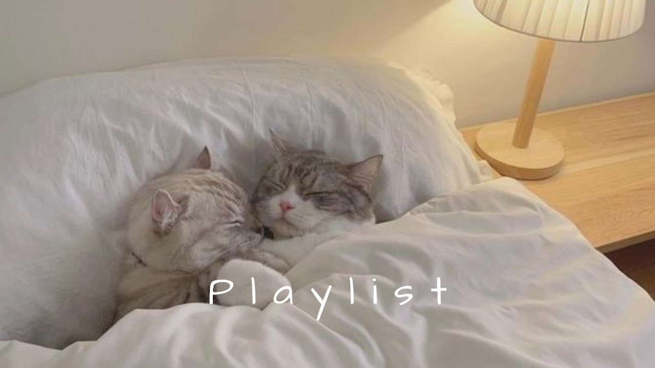 𝐏𝐥𝐚𝐲𝐥𝐢𝐬𝐭 인스타 스토리 올리면 무조건 질문 받는 첫곡 🤍🎧 | chill vibe · night drive