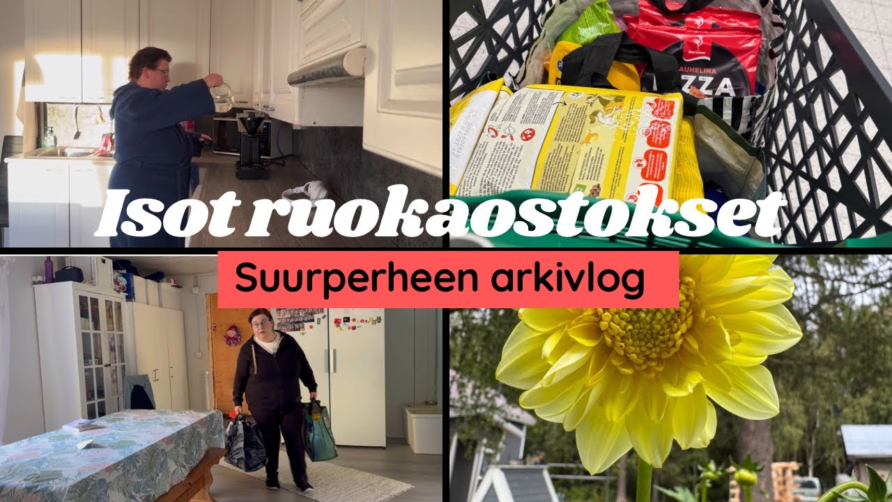 OLIPAHAN MAANANTAI 🌪️🚌🍌 SUURPERHEEN ARKIVLOG 