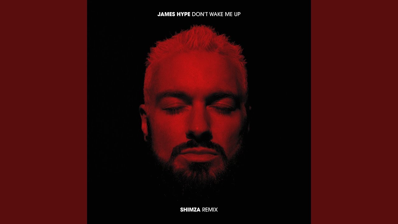 Don't Wake Me Up (Shimza Remix)