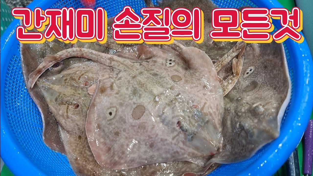 간재미 손질의 모든과정. 이제 쉽게 껍질벗겨 보세요.
