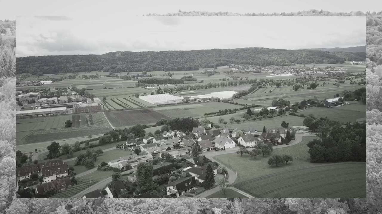 dji mavic pro / buchs zh