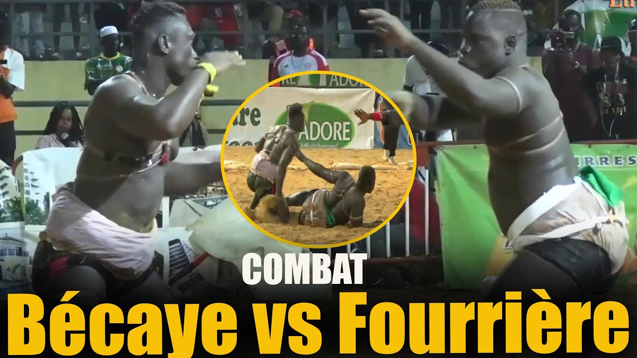Vite fait et bien fait :  Bécaye dane na Fourrière dieul bou gaw