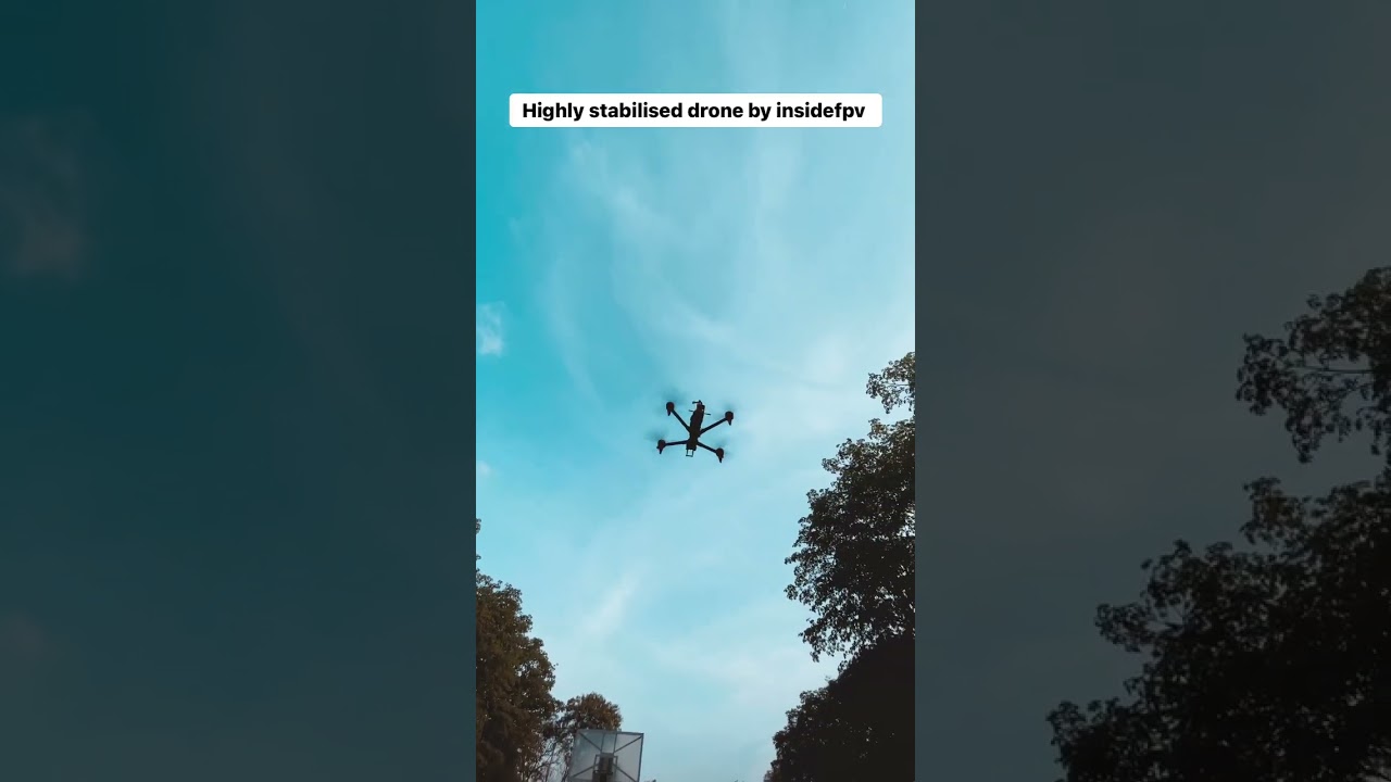 Advik: Highly stabilised drone #insidefpv #drone