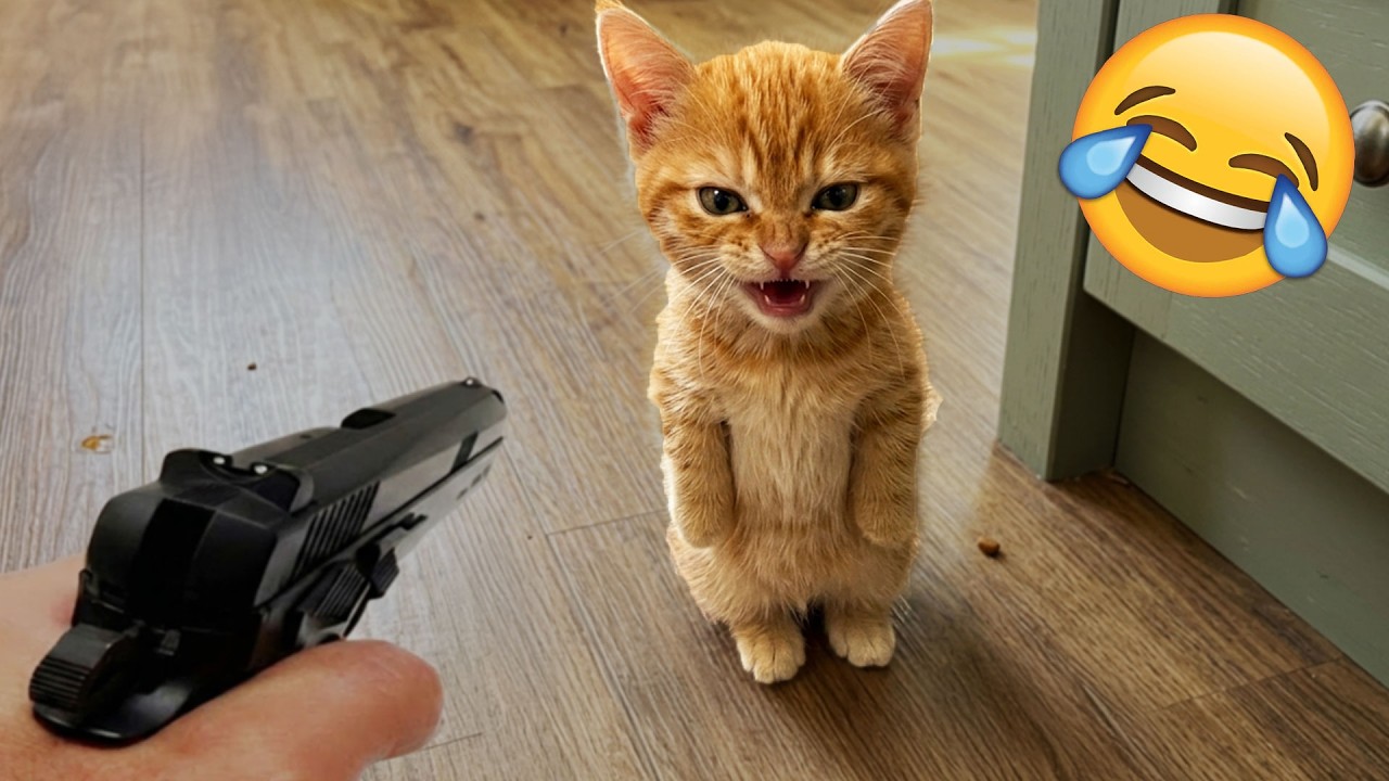 Смеешься — проигрываешь 😹 Самые смешные кошки и собаки 2026 😂🤣 Часть 14