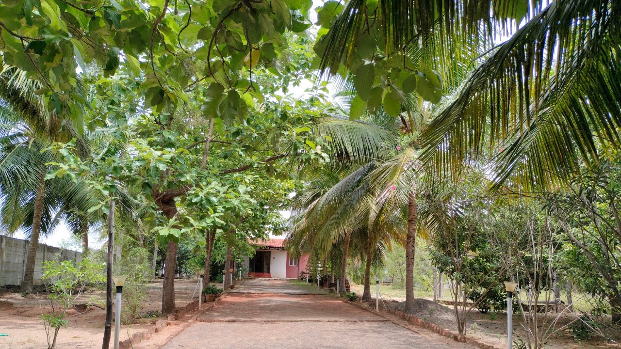 No : 142 Greenery Beach Farm House property 96.5 Cent For Sale Near pondicherry | 9626716274