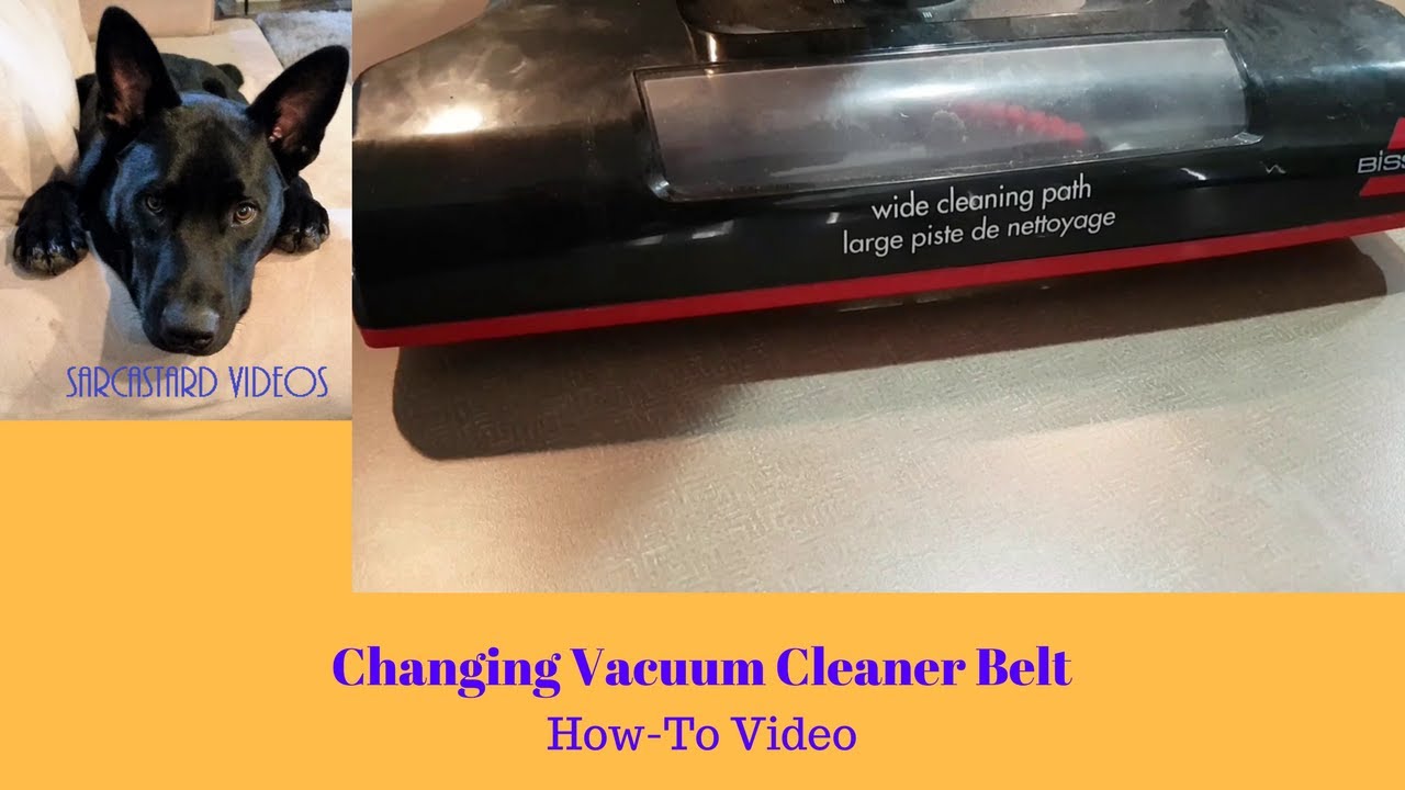 How to Change A Vacuum Belt On A Bissell Powerforce - How To Videos