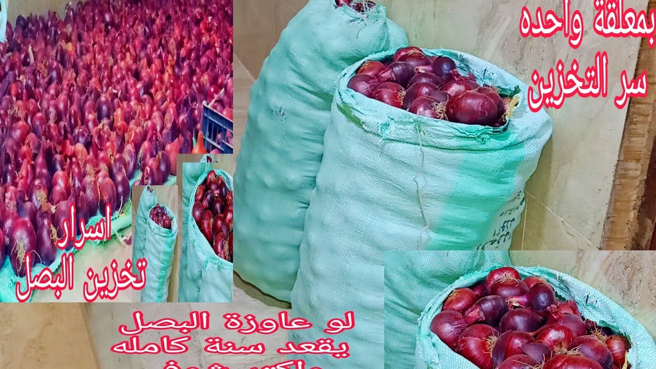 ملعقة واحده بس/سر تخزين البصل من السنه للسنه من غير ما يضرب منك بطريقة أجدادنا وامهاتنا البصل