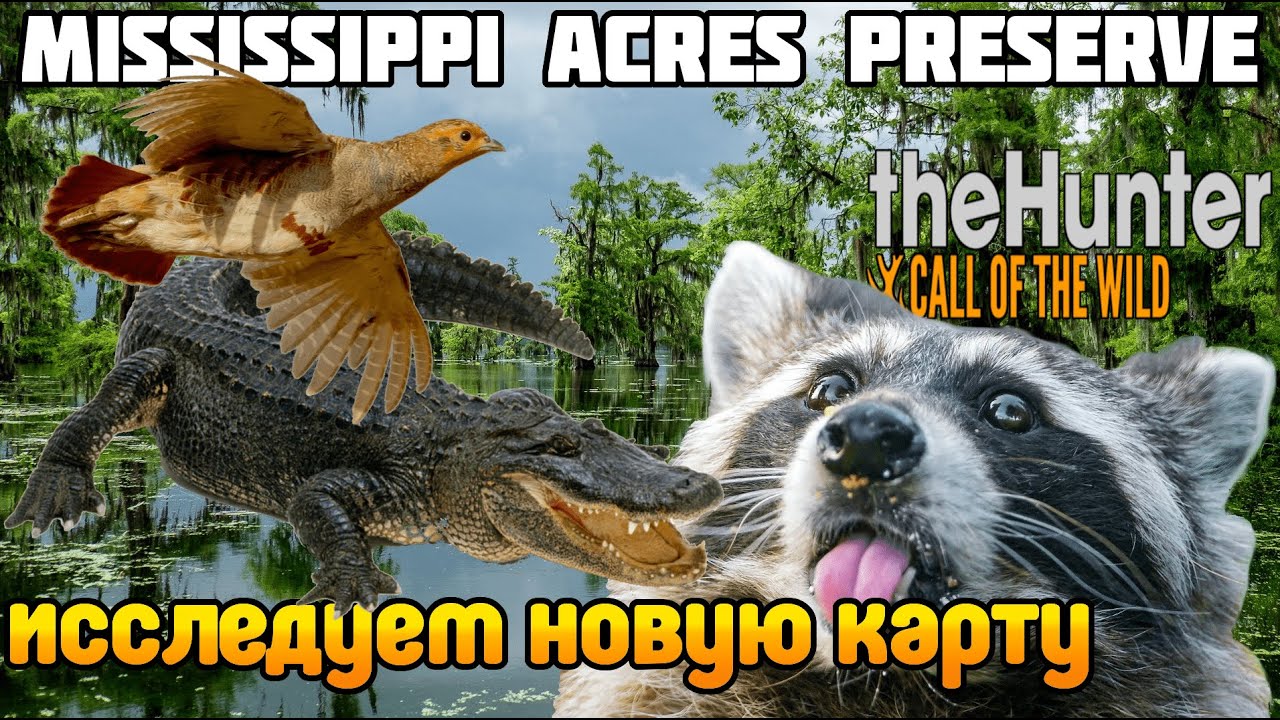 ОХОТА на НОВОЙ карте Миссисипи theHunter Call of the Wild Большой обзор
