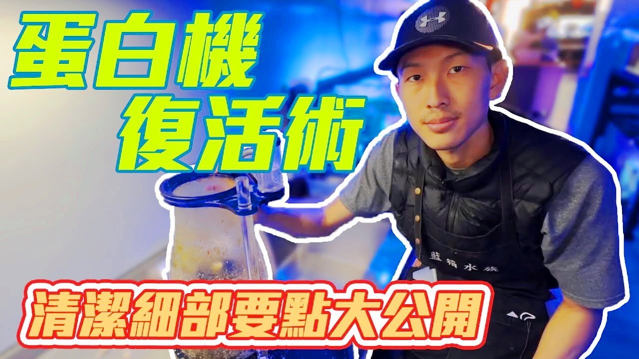 【藍箱水族】 蛋白機清潔重點分享！你還在亂洗蛋白機嗎？蛋白除沫器效率提升！與ZOOX蛋白機拆解分享