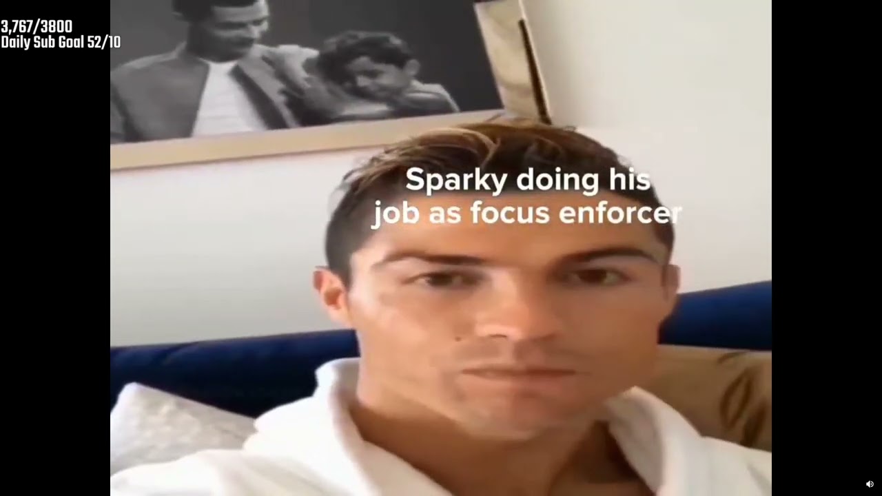 ADAM REACTS TO 