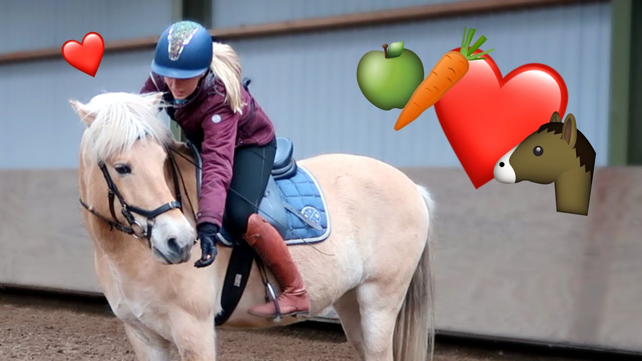 Hoe combineer je rijden met clickertraining/voerbeloning?