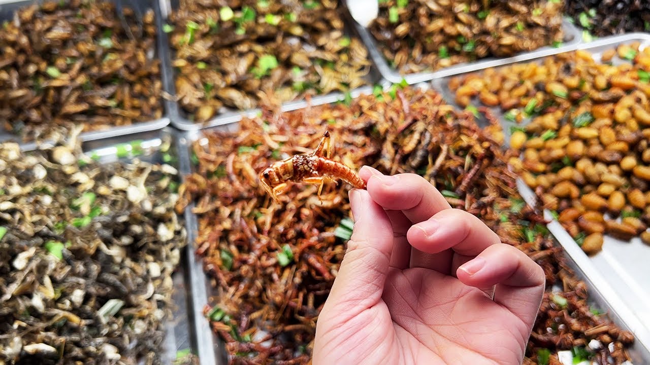Deep fried insects