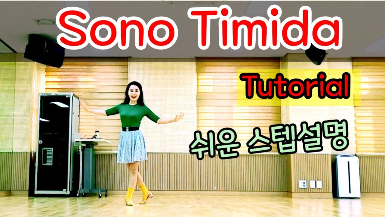 Соно Тимида Соно Тимида / Объяснение этапов обучения / Для начинающих / Улучшение / KLSF Корейска...