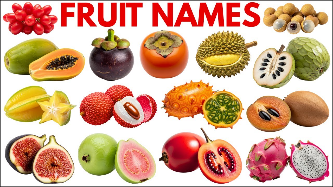 Fruits Name for Kids | Learn Exotic Fruit Names in English with Pictures  |  Fruits Name Vocabulary