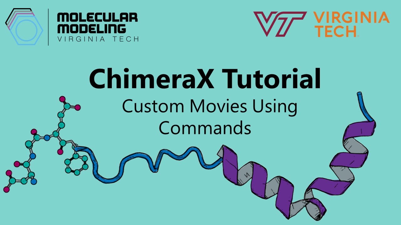 Учебное пособие по ChimeraX: пользовательские фильмы с использованием команд | Brown Lab