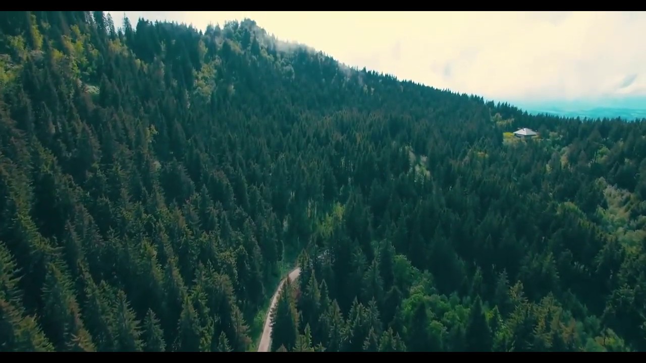 Drone  HD Forest road aerial view silch by IEPL studio
