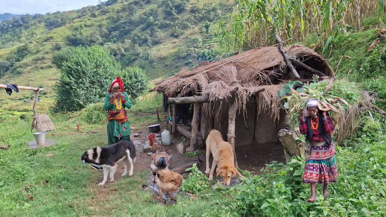 This is Nepali Mountain Village Traditional Lifestyle | Rain Season in Hari Rokaya Village People