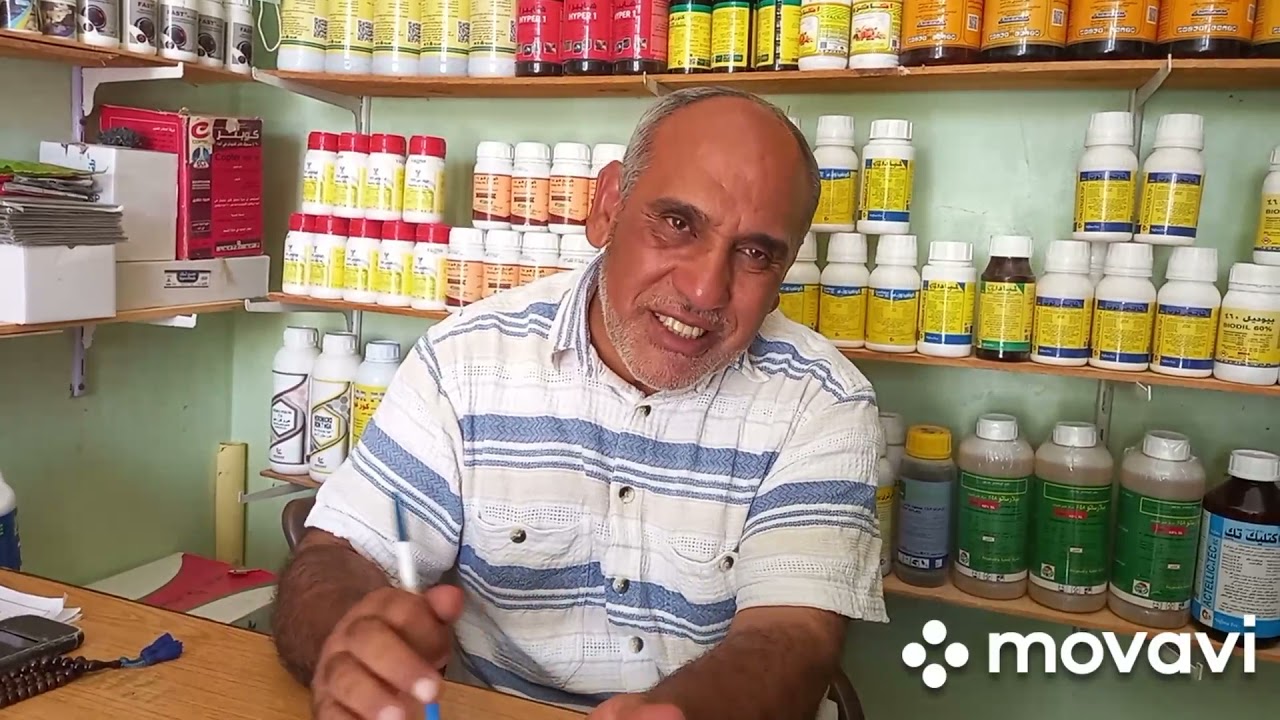 لقاء مع المهندس أحمد ومعلومات عن زراعة البرسيم الحجازى بالفرافرة استعلام ٠١٠١٧٨٧٣٨٢٢ واتس فون