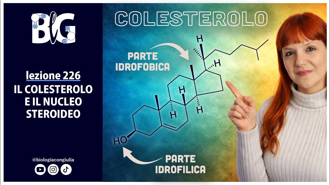 Il COLESTEROLO e il NUCLEO STEROIDEO