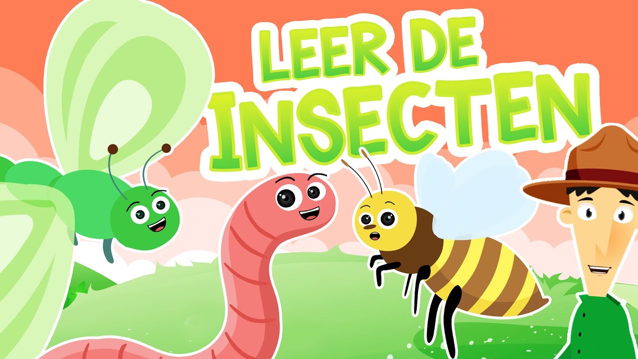 Insecten in het Nederlands / Leerzame tekenfilm over insectensoorten
