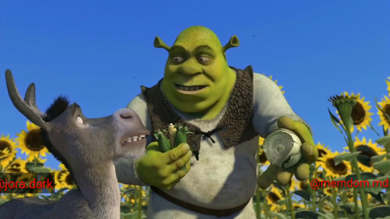 SHREK SI JORICA 2