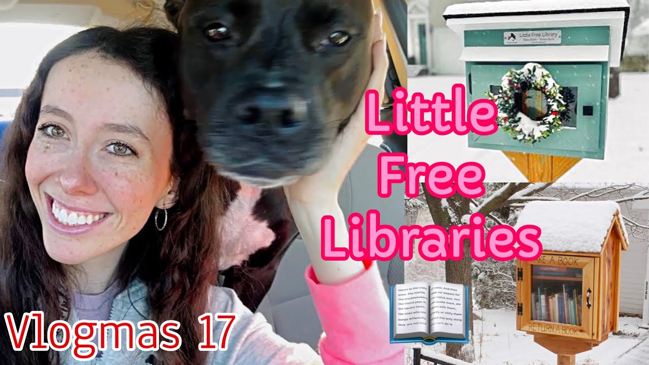 Влогмас: 17 маленьких бесплатных библиотек с Пайпер! 🎄📚📖