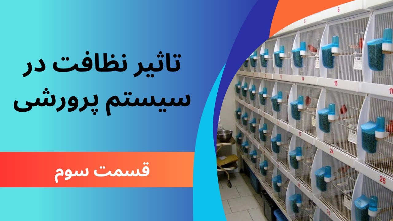 نظافت محیط پرورش: قسمت سوم