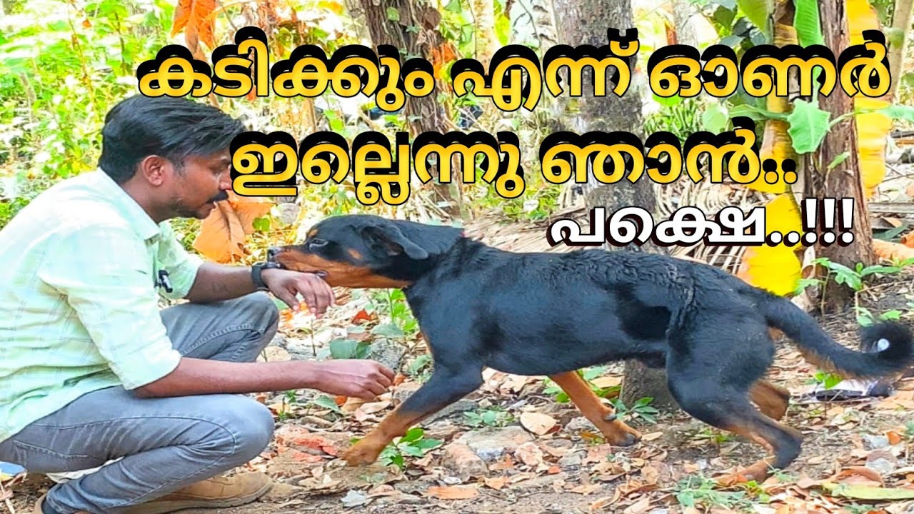 ഇരുമ്പഴിയിൽ കുടുങ്ങി ഒന്നര വർഷം..leash talks