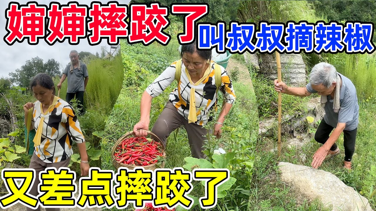 婶婶摔跤后还是担心地里的庄稼，叫叔叔去摘辣椒，叔叔又差点摔跤了，太危险了，帮着把辣椒摘完让叔叔早点回家