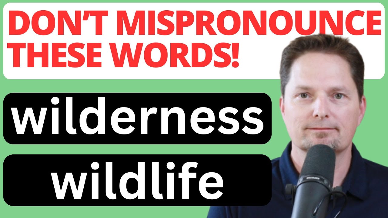 LEARN ENGLISH, WILDERNESS, WILDLIFE, COMPREHENSIBLE INPUT, REAL-LIFE ENGLISH,@andrewlanglife
