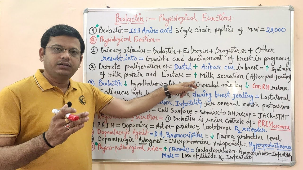 Endocrine Gland  (Part-06)= Prolactin and its Physiological Role | Endocrinology | Hormones