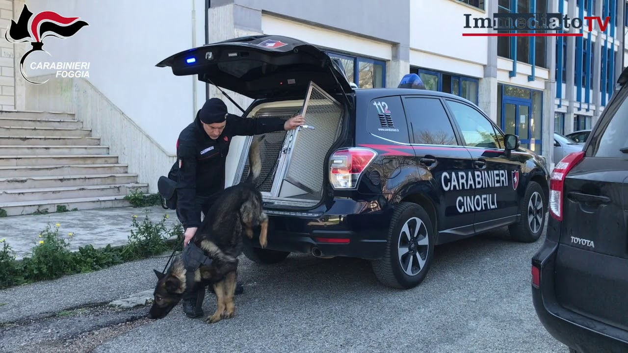 TORREMAGGIORE: LE UNITÀ CINOFILE DEI CARABINIERI DAL FIUTO INFALLIBILE, BECCATO PUSHER