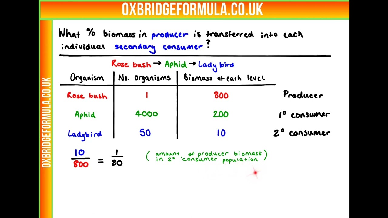 BMAT 2020 Sec2 Q21 (Bio) - Biomass.mov