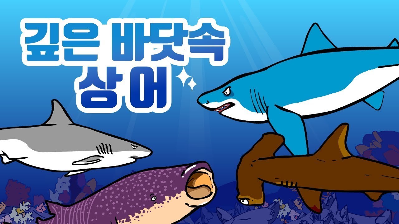 깊은 바닷속 상어 | 상어의 생김새와 특징 | 상어의 종류 | 동물박사★지니키즈