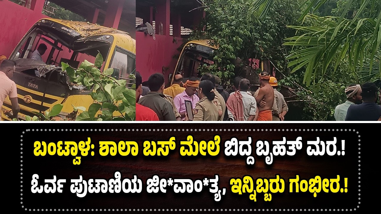 ಬಂಟ್ವಾಳ: ಶಾಲಾ ಬಸ್ ಮೇ*ಲೆ ಬಿ*ದ್ದ ಬೃಹತ್ ಮರ, ಓರ್ವ ಪು*ಟಾ*ಣಿಯ ಜೀ*ವಾಂ*ತ್ಯ, ಇನ್ನಿಬ್ಬರು ಗಂ*ಭೀ*ರ.!