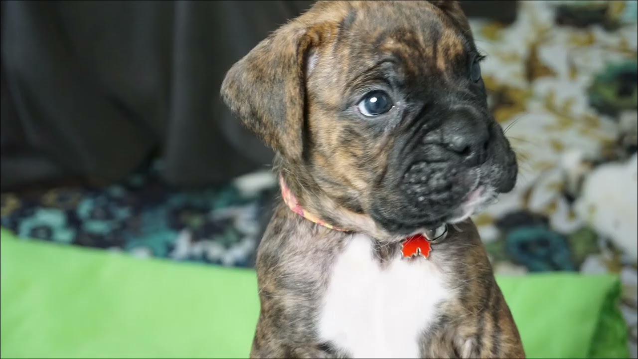 Happy Valentine’s Day to Goose & His Family!
