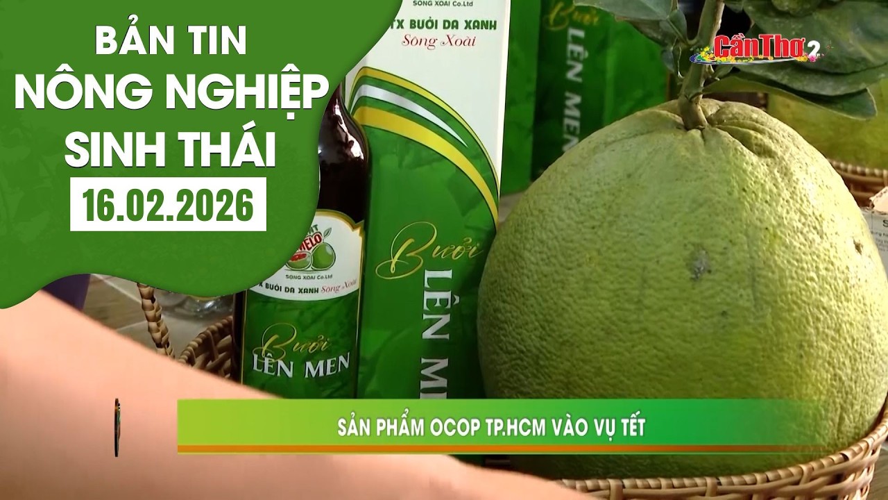 Sản phẩm OCOP Tp.HCM vào vụ Tết | NNST 16.02.2026