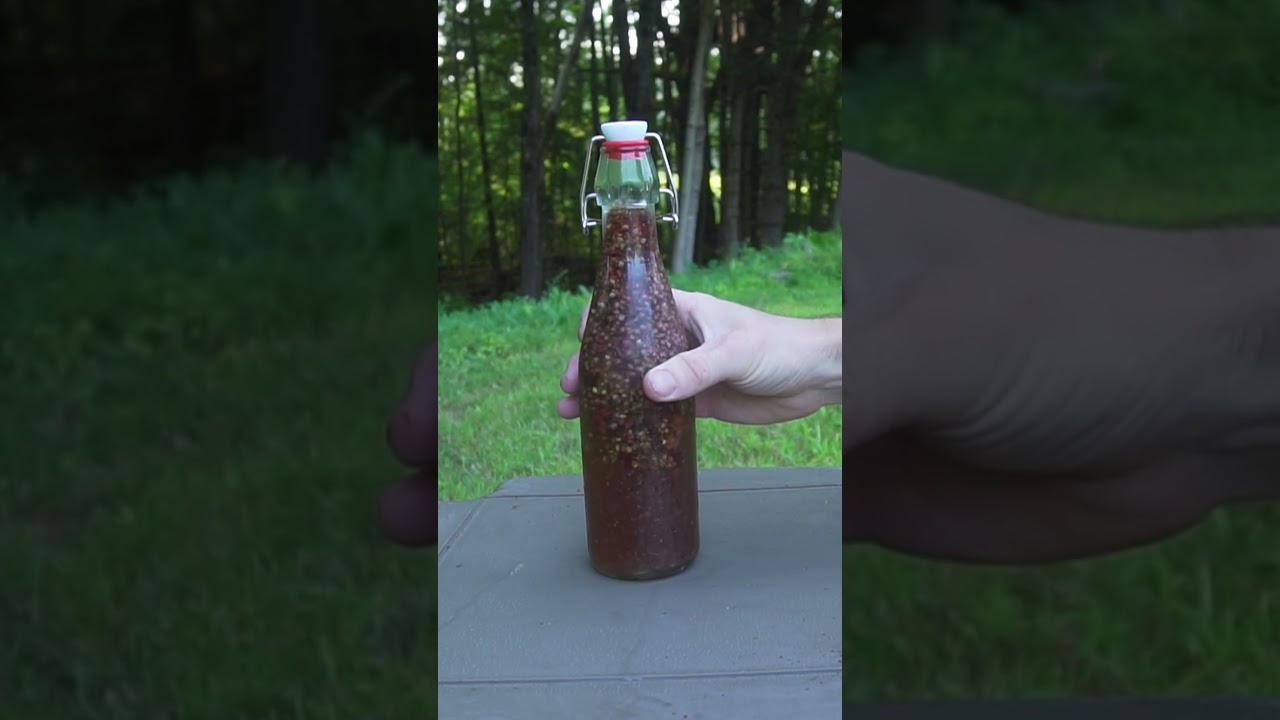 Making Wild Lemonade from the Woods!