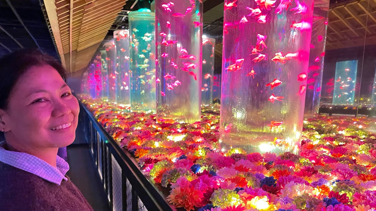 Colorful Japan 