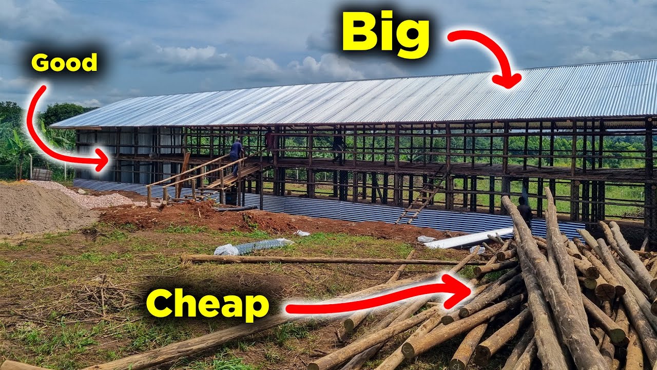 How I Build Big, Cheap Chicken Houses