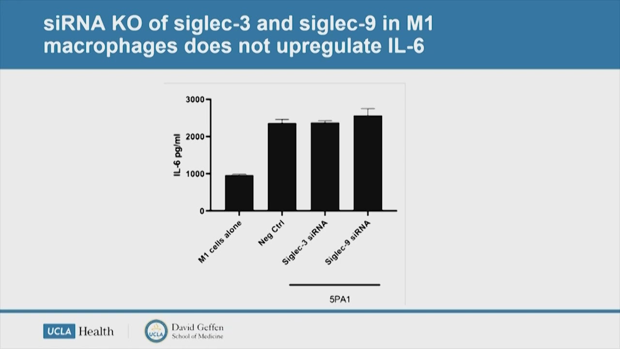 The Role of Siglecs in Acne Pathogenesis, Thanh Tran, MS