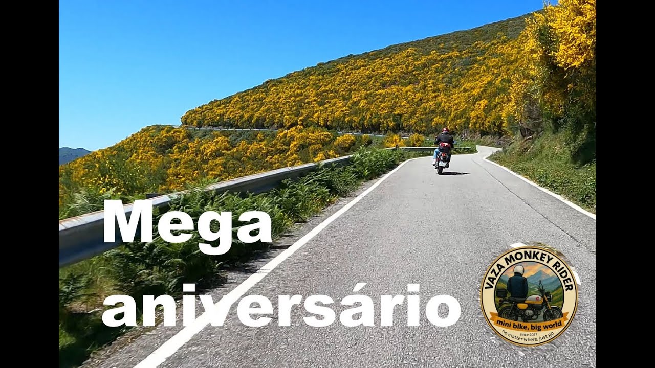 Festejei o meu Aniversario 2025 de Monkey