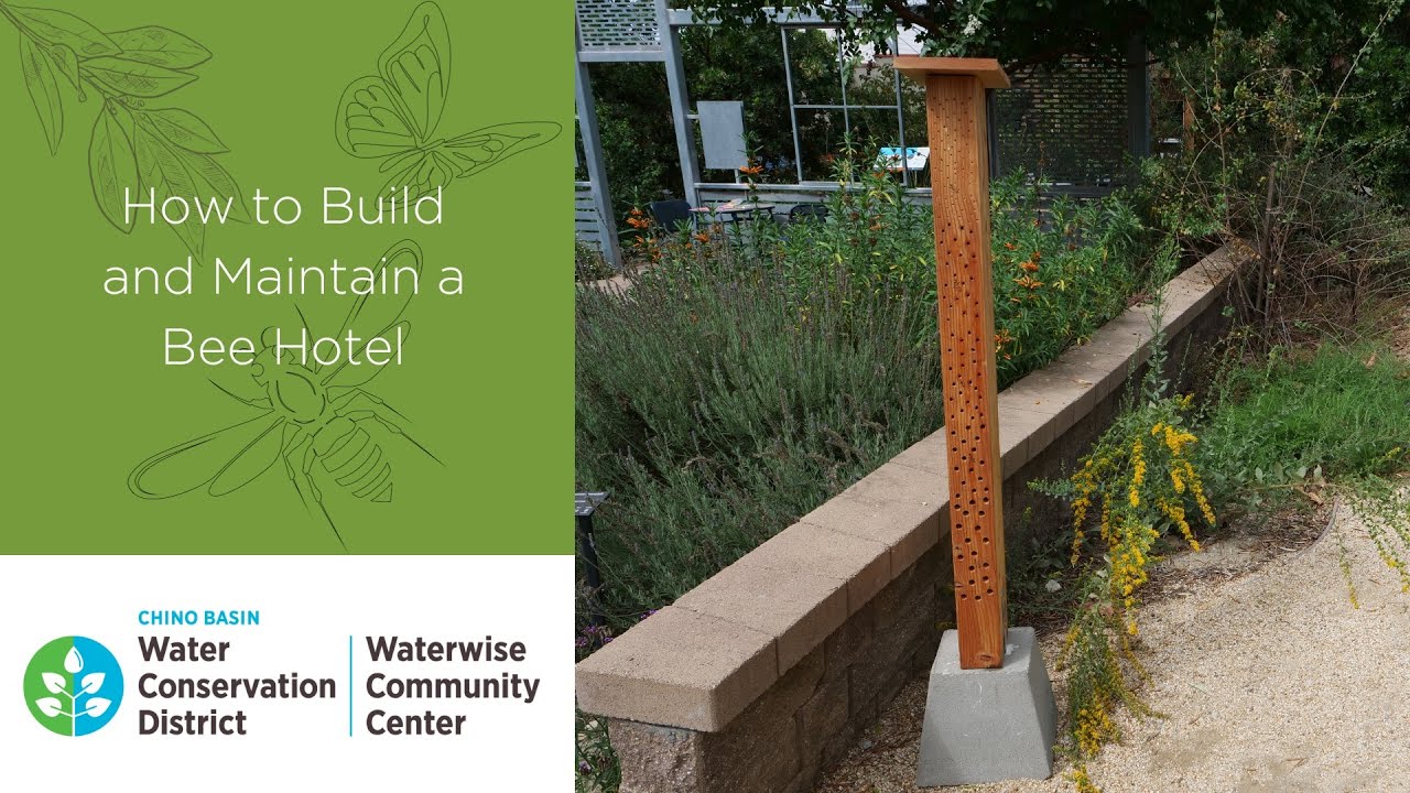 Creating and Maintaining Native Bee Hotels | DIY Pollinator Habitat Project
