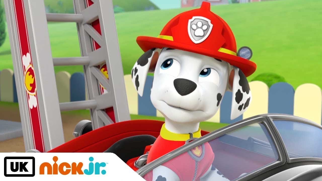 Paw Patrol | Pups and the Mischievous Kittens | Nick Jr. UK