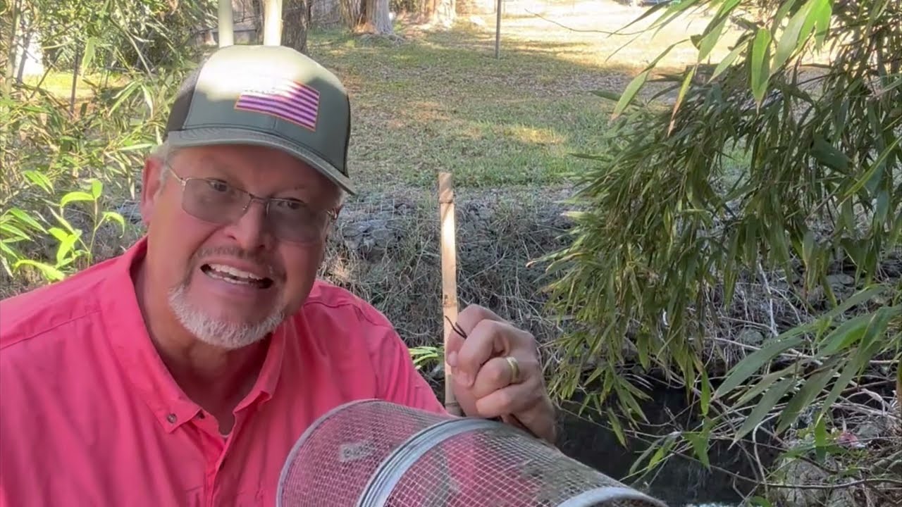 Minnow Trap Test: Cheetos!