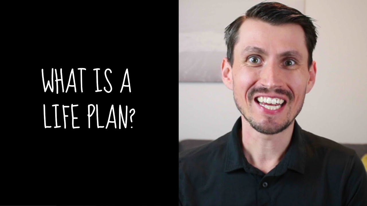 What is a life plan for a person with a developmental disability